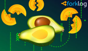 Halving Has Happened, What’s Next? Crypto-Industry Stakeholders Share Their Expectations